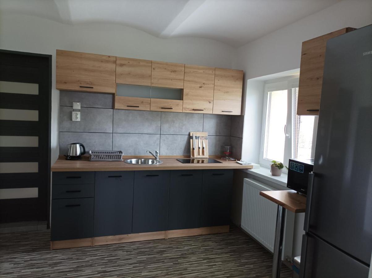 Apartman Vesele ديشين المظهر الخارجي الصورة