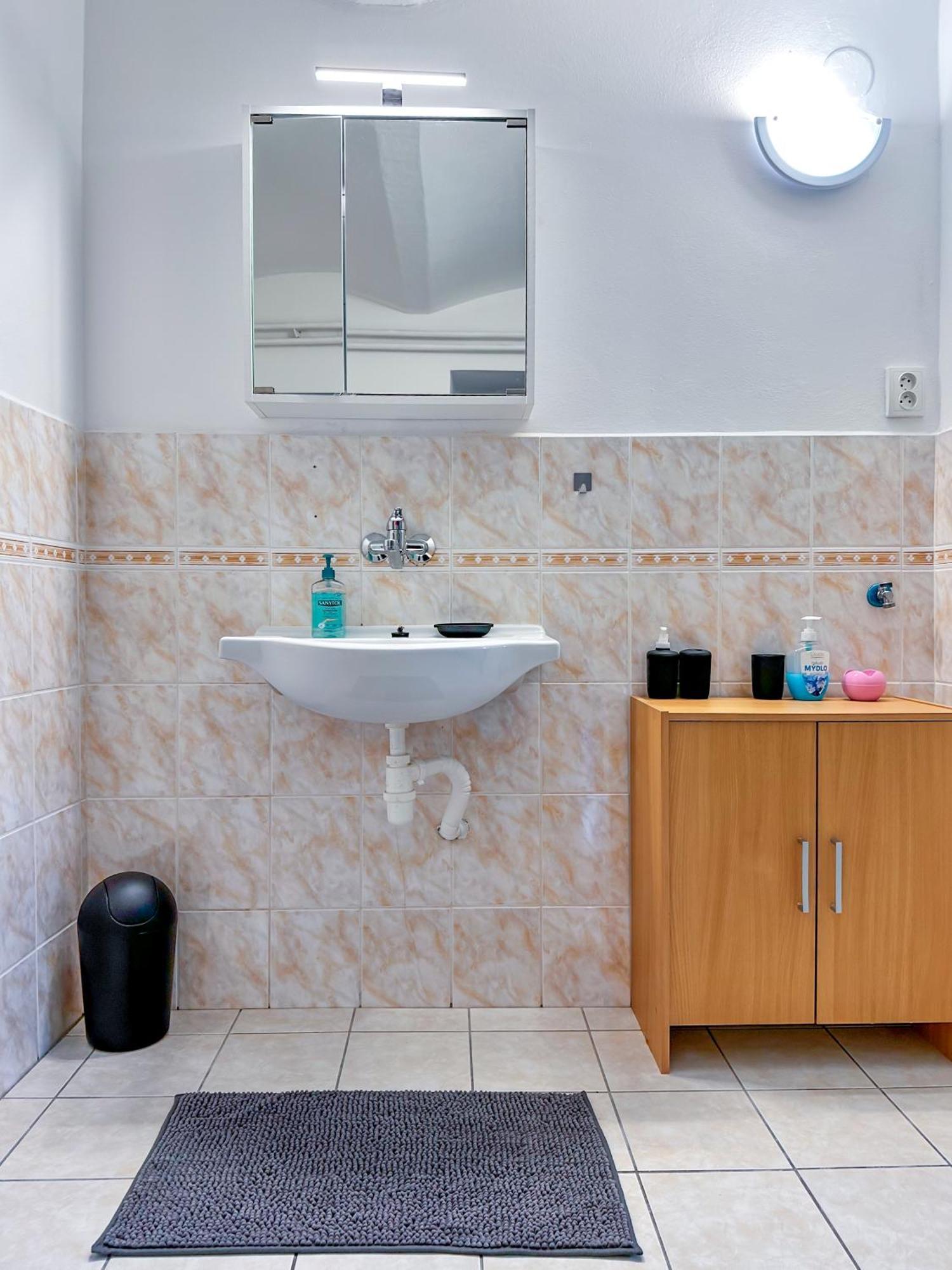 Apartman Vesele ديشين المظهر الخارجي الصورة